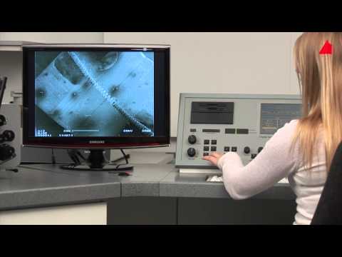 Das Rasterelektronenmikroskop