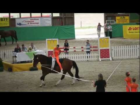 CVI** Krumke 2012 Juniorteam Krumke2 Pflicht