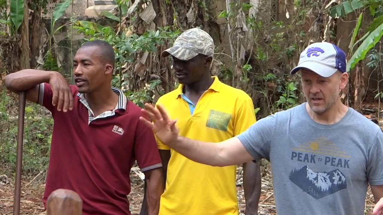 CEI  / DIG Collaboration