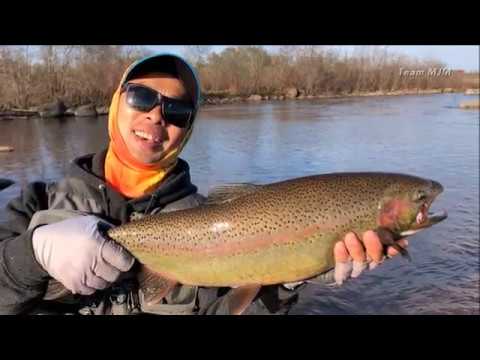 Flyfishing @ Sault Ste. Marie