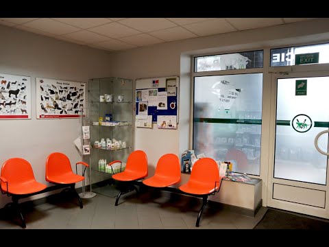 Żbik Przychodnia weterynaryjna Mirosław Gniot - video
