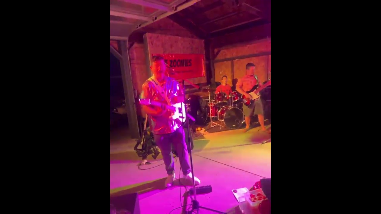 Promotional video thumbnail 2 for The Zoomies Band