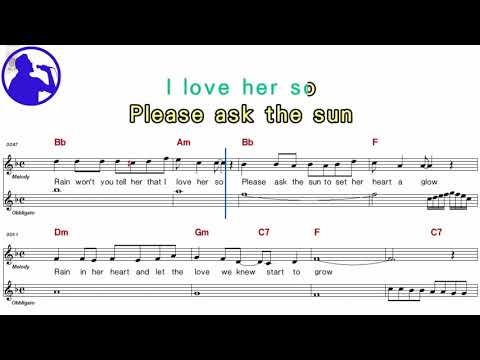 The Cascades - Rhythm of the rain karaoke version sheet music for players,chorus added(Ye karaoke)