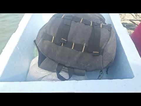 RETORNO PARA APICUM AÇU- MA  QUEREMOS AGRADECER AO SR.ANTONIO POR PROPORCIONAR  ESTE MOMENTO ÚNICO.