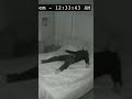 scientist tested on tommy to grow?