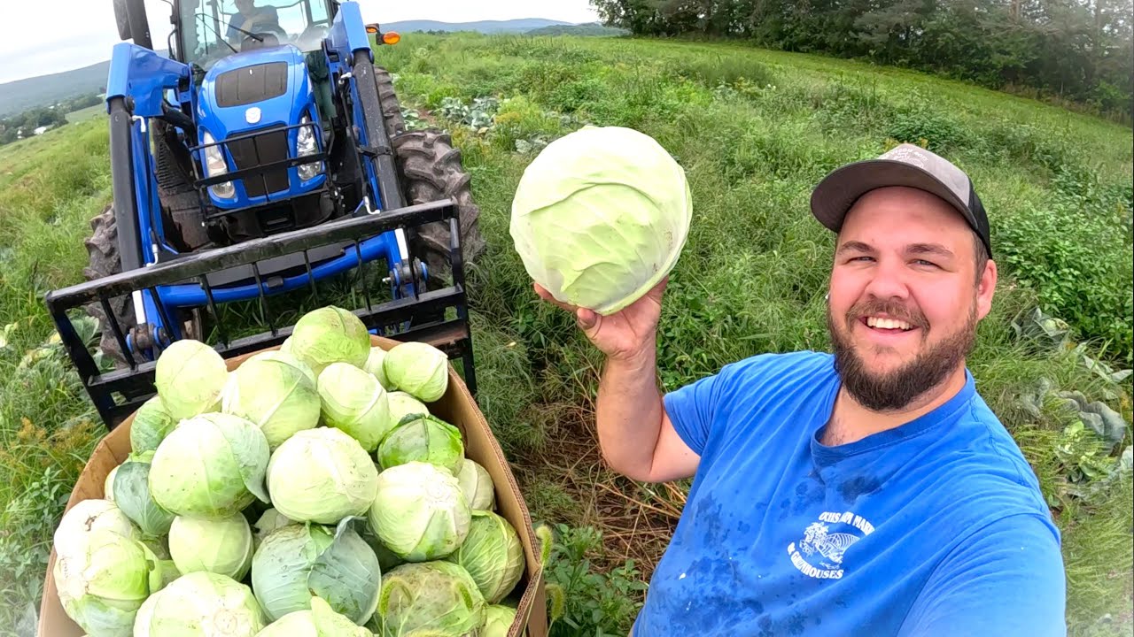 UNBELIEVABLE HARVEST is what we needed