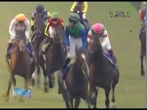 "Nicola Pinna. Nuova vita a Milano" (CANTER 12/05/16)