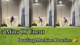 5 Mins of Indoor Bowling Machine Practice 🏏 In Canada 🇨🇦 | Full Batting Highlights|