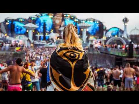 Mini Festival Mashup EDM 2019 - Best Of Electro #4 | By IMeet