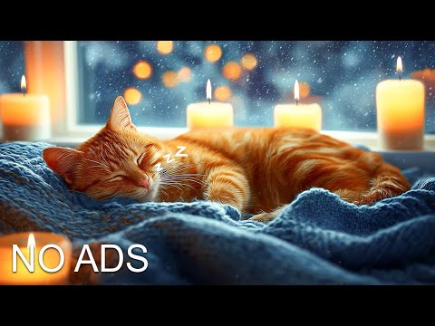 Calming Music for Cats with Anxiety 🐈🎵 Soft Music for Cats💖Stress Reliefp #catmusic #healingmusic