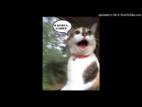 Santiago_Cortes_vs_Blur-Song_2