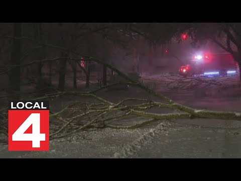 Local 4 News at 11 --  March 3, 2023