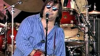 Steve Earle with The V-Roys - Copperhead Road (Live at Farm Aid 1997)