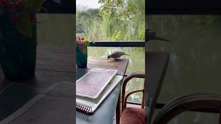 A Moment from My Perfect Day Off ✨ #Vlog#DayOff #VlogShorts #Shorts #DailyVlog #TravelShorts#travel