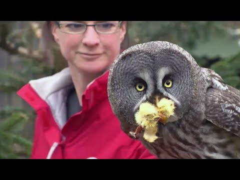 Die Wildtierstation in Klein Offenseth-Sparrieshoop bekommt neue Ausstattung