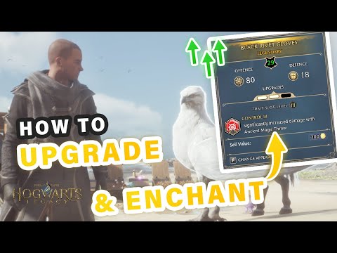 Complete Guide to Gear Upgrades, Enchanting Traits and Beast Material Farm Setup ► Hogwarts Legacy