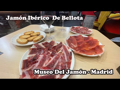 Museu Del Jamón Madrid | Jamón De Bellota