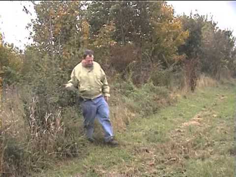 8 Schuttplatz an der Autobahn mpg