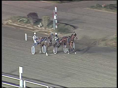 Trotto 23/12/2016 - prova di qualifica