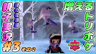 冠の雪原編#3 その２[ポケモン剣盾]飛ぶ、増える、回る、目からビーム！！おかんとしんが実況するで！！[親子実況]