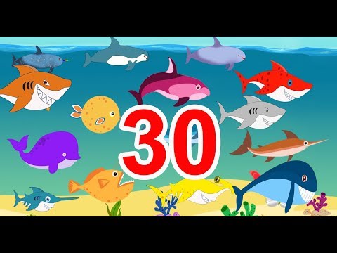 Baby Shark and 20 More Baby Fishes | Learn Sea animals Names for Kids | Kids Learn Number
