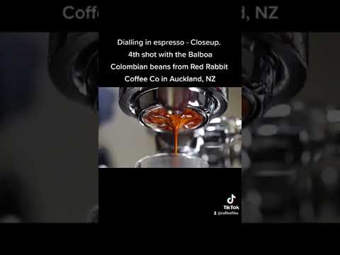 Daily Espresso Extraction Closeup - Dialing in 4th Shot | Bottomless Portafilter | Lelit Bianca