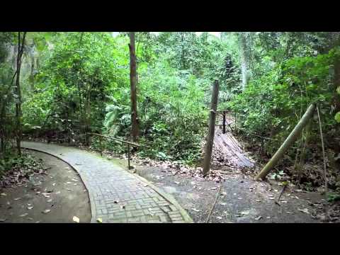 EcoTour Panama Video