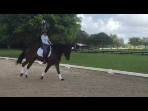 2012 Fürst Romancier