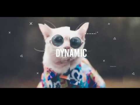 Dynamic
