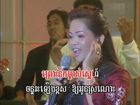 Reymeas dvd vol 29 3 karaoke music