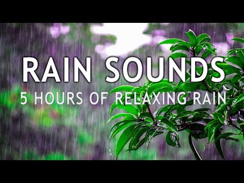 Nature Sounds & Rain 5 Hours – Sleep, Meditation, Study | Rain Sounds For Sleeping No Ads No Thunder