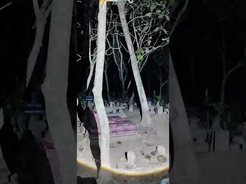 SANDEKALA MISTERI #horror #dunialain