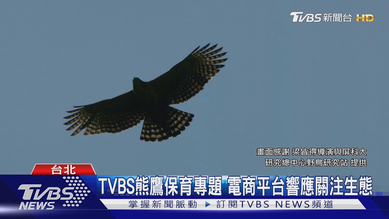 TVBS熊鷹保育專題 電商平台響應關注生態