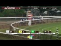 Laoban - 2016 Jim Dandy Stakes