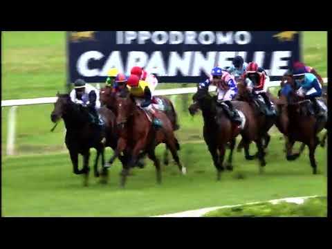 Tempesti - Premio Carlo d'Alessio, Gr.3