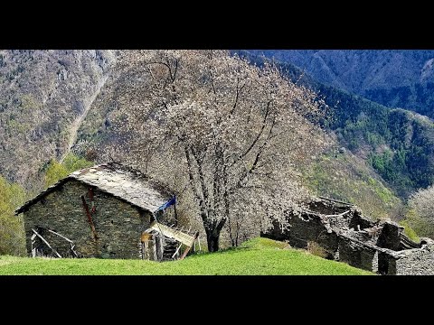 Anello della scala dei Pizzi  (Valmalenco)