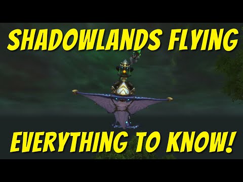 Unlocking Flying In Shadowlands: EVERYTHING you need to know!