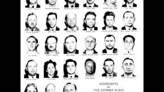 Pye Corner Audio & Not Waving - Enemies Of The People