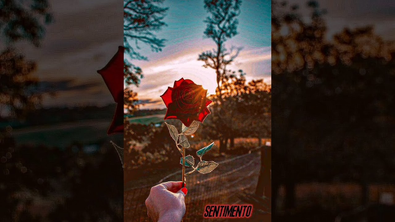 Tiago Peixoto - Sentimento (Prod.)