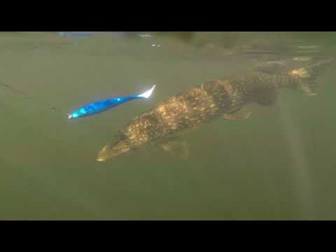 Fisketur till Båven, Sparreholm