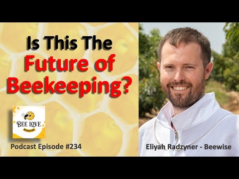 The Future of Beekeeping: A Hive of Innovation | Golden Age