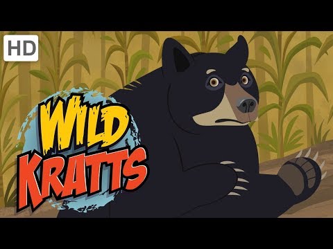 Wild Kratts - No Creature Meals for Gourmand