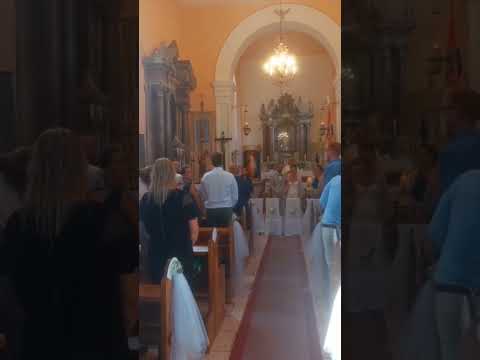 Vjenčanje / Can't help falling in love with you / Klapa Sebenico