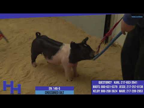 146 5   09 February 2023   09 13 53 PM