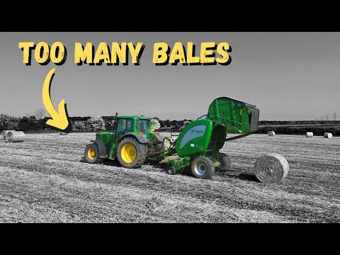 HUGE YIELD OF FORAGE RYE SILAGE | how many bales to the acre?