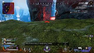 Apex Legends　ウィングマン