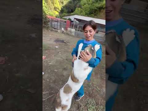 Ranya confused ! Who do I listen to?