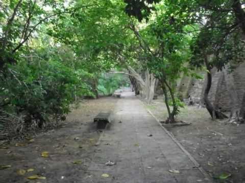 Parque Ecológico do Cocó - Nana Caymmi & Chico Buarque - ATÉ PENSEI - Chico Buarque