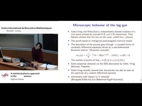 Mylène Maïda: A statistical physics approach to the sine beta process