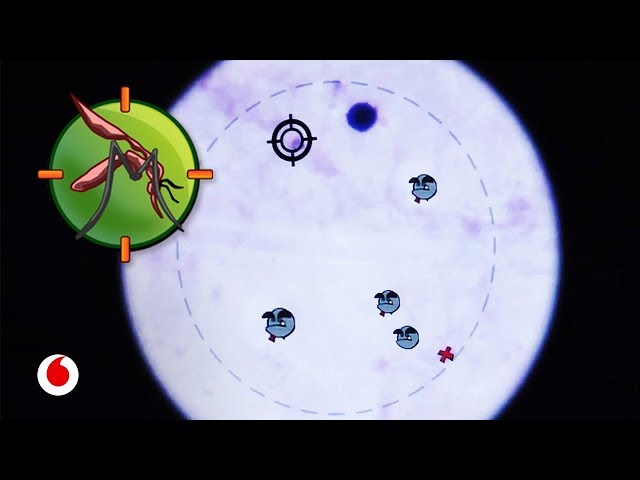 Vídeo relacionado con Atlas visual de la malaria (Comunica Ciencia)